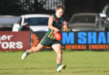 Mozzies leave a mark on Magpies