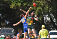 MSEFL Round 11 previews