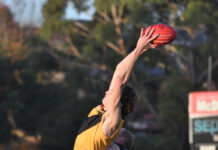 Tigers break away in Bulldogs clash