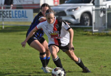 All tied up at Casadio Park