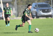 Sixth tied result for Portland Panthers