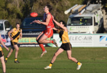 Demons silence Tigers again