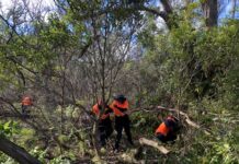 First Nations working pathway open