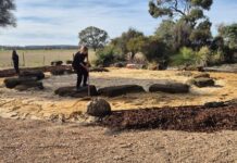 Grants program boosts community projects