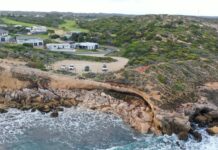 Coastal councils chaos