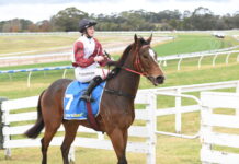 Pateman at his very best