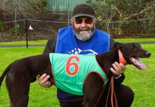 Price chasing fourth Anniversary Cup win