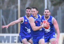 Top order battle features in Round 12