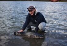 Citizen scientists support