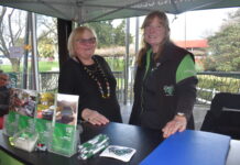 Day out at the 2025 Mount Gambier Vintage and Classic Bike show