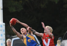 Major milestone realised by Eagles’ gun