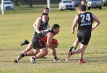 Saints sneak past the Mozzies