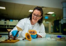 Calculators to creepy crawlies