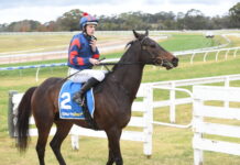 Big profile boost for Opperman