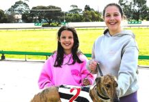 Wrapping up the Tara Tipsters Stake