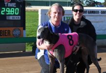 Blue Khaki goes the extra distance