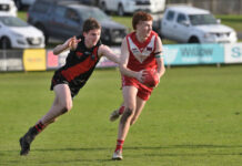 Demons rise over Bulldogs