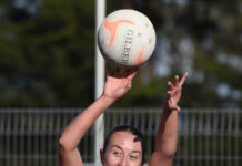 Roosters dominant at home