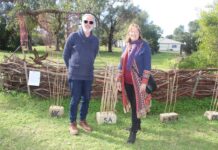 Variety on show for art lovers