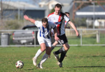 Panthers locked in after tied result