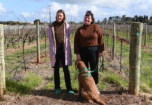 Woofing time for wine walk