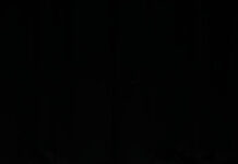 Success for local dancers