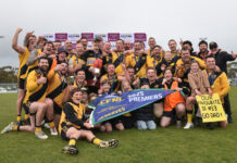 Tigers full of pride