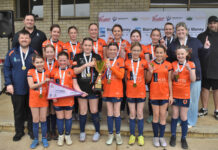 Young Lions roar to premiership