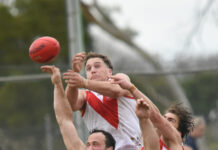 Heavyweights set to face off