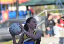 Youngsters hit court for grand final day