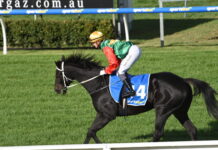 Off to a great start