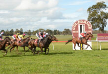 Looking to bigger riches