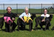 Big day out for leading trainer