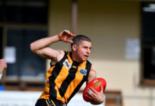 Tigers have all the answers