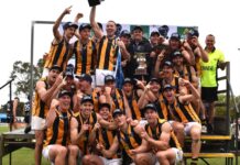 Back-to-back for Tigers