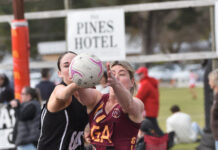 Magpies lift the intensity