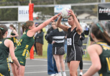 Kalangadoo in impressive form