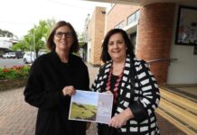 New four-year vision set for Council