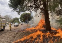 Prescribed burns begin