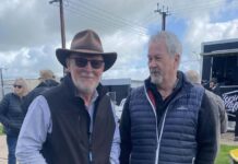 Car club cruises on coast