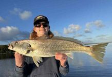 Fish aplenty in many areas