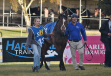 Has landed on his feet