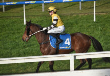 Big night ahead for the locals