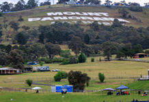 Proud dad watches on in awe