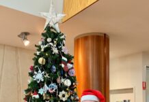 What’s on at the Mount Gambier Library