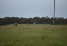 Search for remains concludes