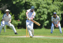 Mozzies out for blood against Furner/Beachport