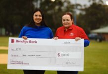 Great day on the diamond for a worthy cause