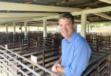 Reports shows livestock markets increasingly volatile