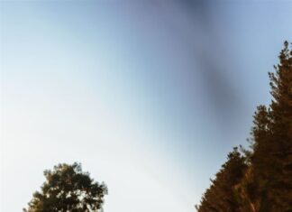 OneFortyOne 2025 Annual Review